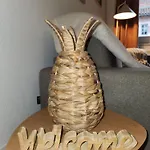 Le Petit Marche De Sainte Cecile- Centre Historique Daire Albi