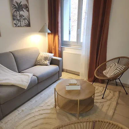 Le Petit Marché De Sainte Cécile- Centre Historique * Albi