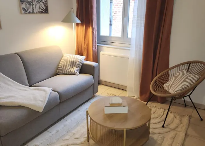 Le Petit Marché De Sainte Cécile- Centre Historique * Albi