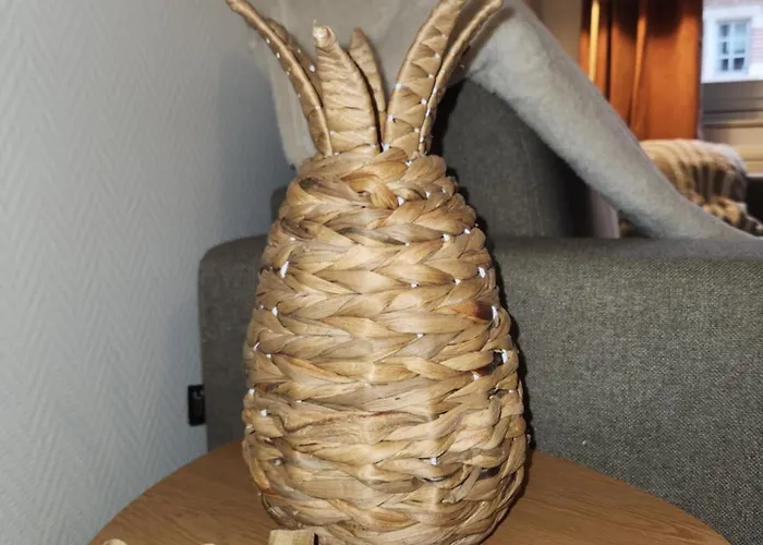 Le Petit Marché De Sainte Cécile- Centre Historique Appartement Albi